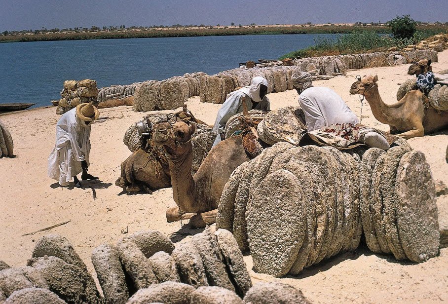 Lake Chad (Partially in Niger), Southeastern Niger, Niger